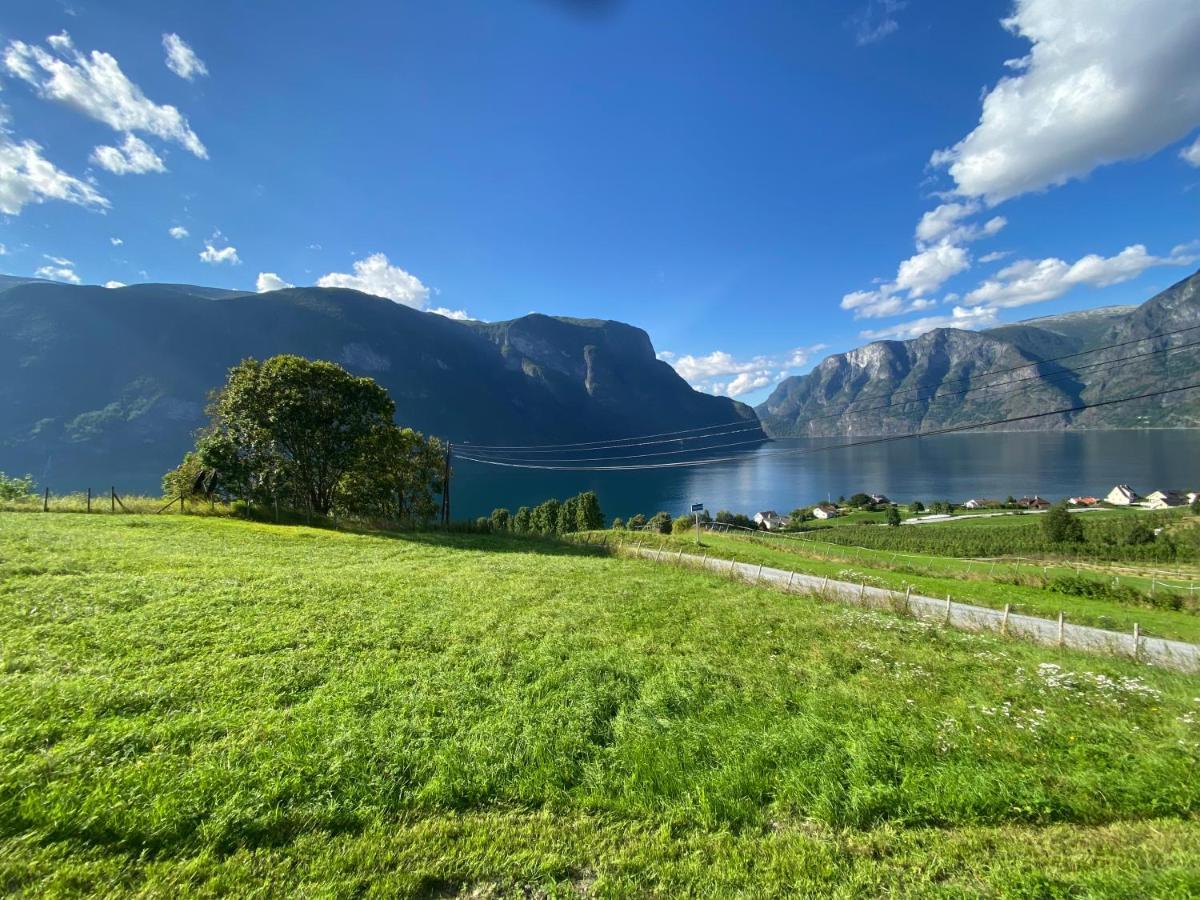 Winjum Hostel Stegastein أرلاند المظهر الخارجي الصورة